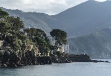 Ile kosztuje obłożenie schodów betonowych drewnem? Ile kosztuje obłożenie schodów betonowych drewnem?