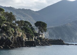 Ile kosztuje obłożenie schodów betonowych drewnem? Ile kosztuje obłożenie schodów betonowych drewnem?