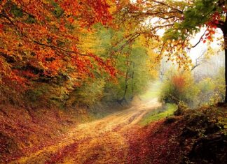 Od którego roku nowy czynnik klimatyzacji? Od którego roku nowy czynnik klimatyzacji?