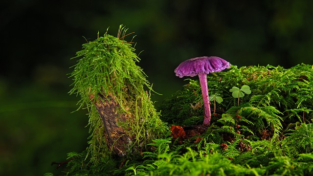 Jak zerwać stara farbę? Jak zerwać stara farbę?