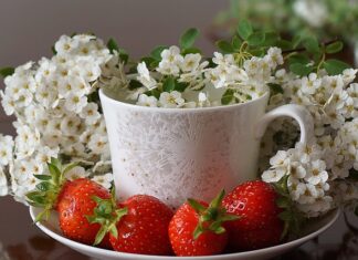 Jakie talerzyki do ciasta? Jakie talerzyki do ciasta?