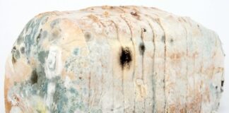 Jak najlepiej zdezynfekować klimatyzację w samochodzie?