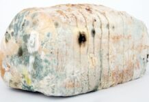 Czym Dezynfekować saunę? Czym Dezynfekować saunę?