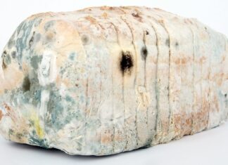 Czym Dezynfekować saunę? Czym Dezynfekować saunę?