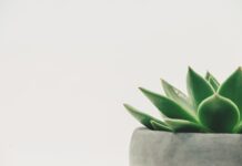 Jaka jest minimalna grubość tarczy hamulcowej? Jaka jest minimalna grubość tarczy hamulcowej?