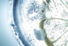 Czy drinki są zdrowe? Czy drinki są zdrowe?