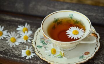Czy porcelana jest delikatna?