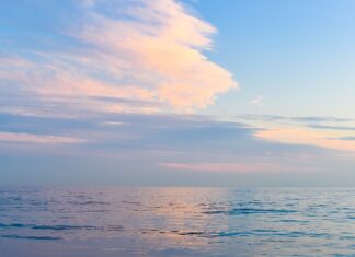 Ile kosztuje pomiar rezystancji uziemienia? Ile kosztuje pomiar rezystancji uziemienia?