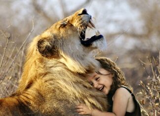 Jaki wymiar ma duży talerz? Jaki wymiar ma duży talerz?