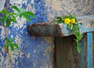 Jak naprawić porysowane ranty felg? Jak naprawić porysowane ranty felg?