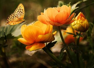 Jaki kwas do mycia felg? Jaki kwas do mycia felg?