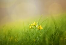 Co to za skrót s? Co to za skrót s?