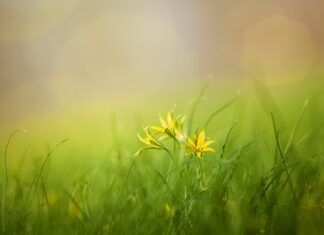 Co to za skrót s? Co to za skrót s?