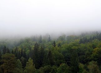 Jak Zasłonić rynnę? Jak Zasłonić rynnę?