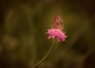 Co bezpośrednio na rdzę? Co bezpośrednio na rdzę?