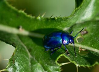 Czy kolor miętowy jest modny 2023? Czy kolor miętowy jest modny 2023?