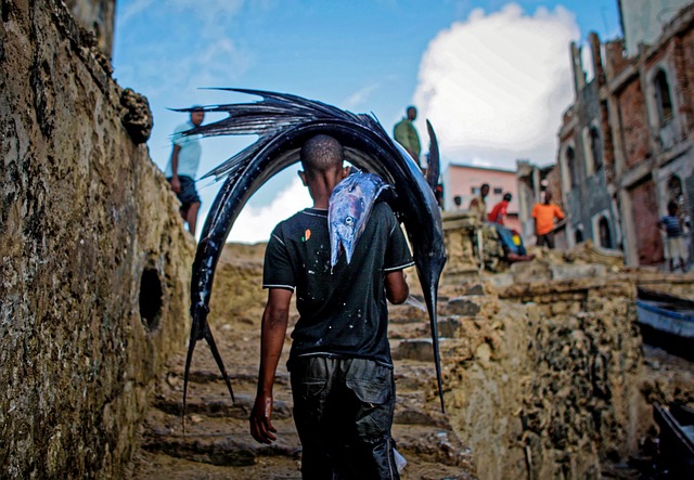 Ile spadku na schodach? Ile spadku na schodach?