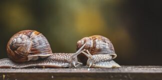 Gdzie umieścić czujnik temperatury w domu?
