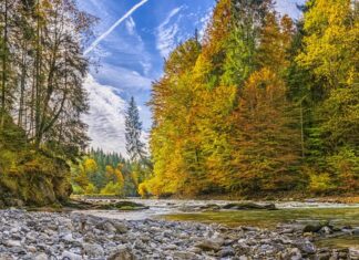 Jak usunąć przebarwienia na desce rozdzielczej? Jak usunąć przebarwienia na desce rozdzielczej?